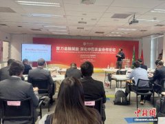 中巴专家聚圣保罗共议金融